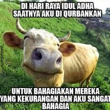 hewan untuk qurban insan mandiri