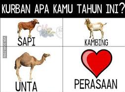 qurban apa tahun ini